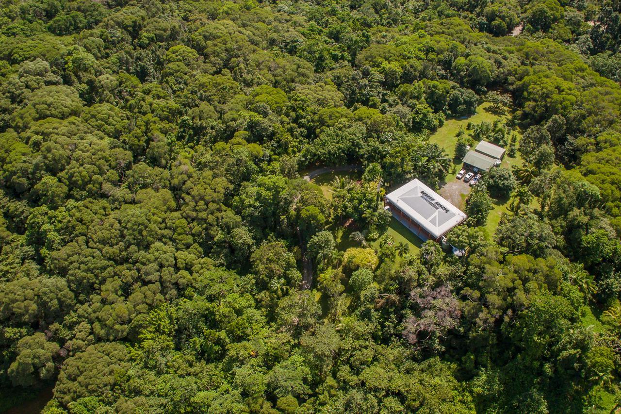 Daintree Manor B&B Dış mekan fotoğraf
