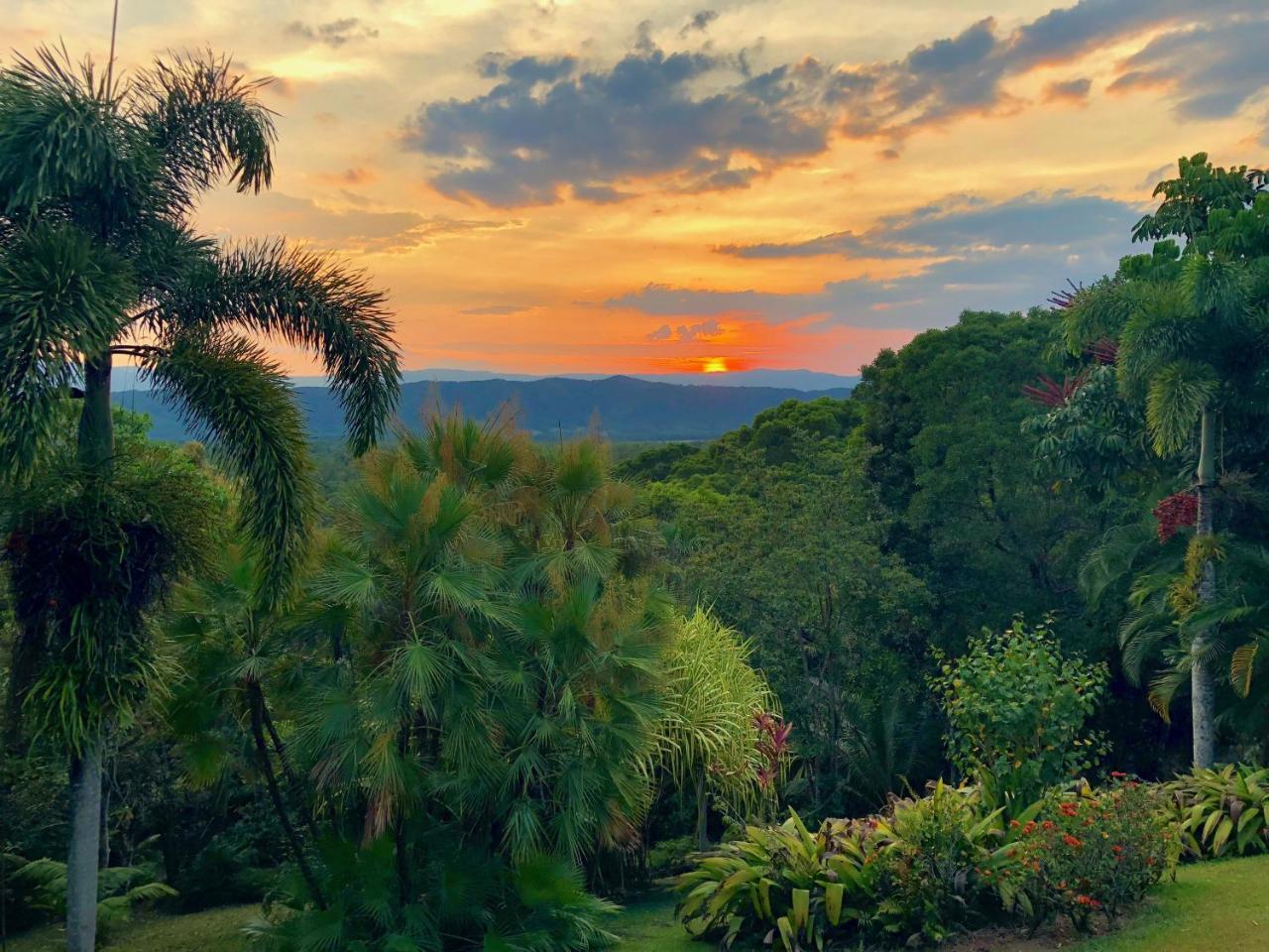 Daintree Manor B&B Dış mekan fotoğraf