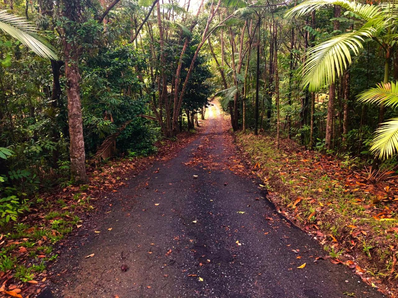Daintree Manor B&B Dış mekan fotoğraf