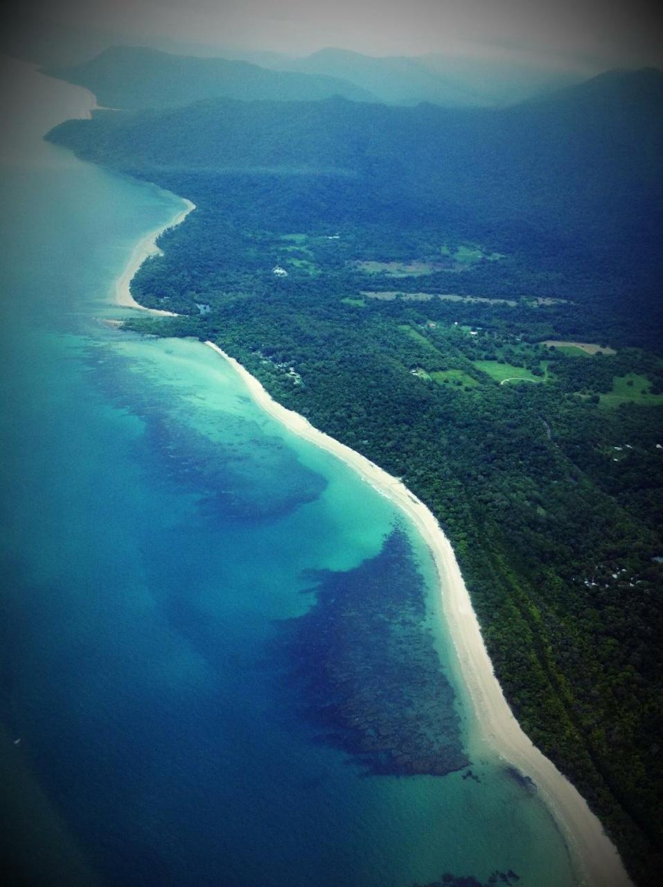 Daintree Manor B&B Dış mekan fotoğraf