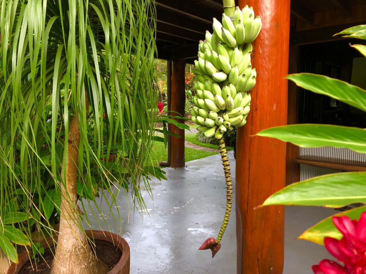 Daintree Manor B&B Dış mekan fotoğraf
