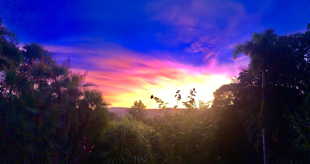 Daintree Manor B&B Dış mekan fotoğraf
