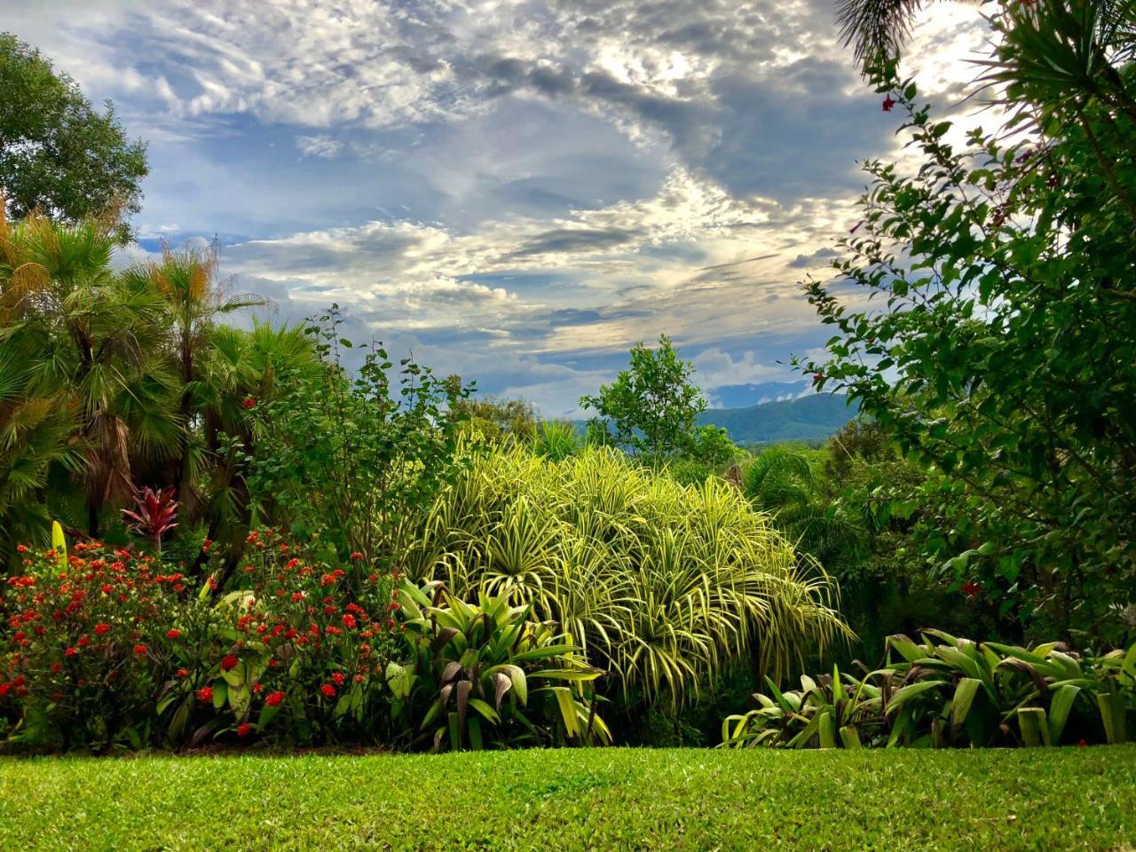 Daintree Manor B&B Dış mekan fotoğraf