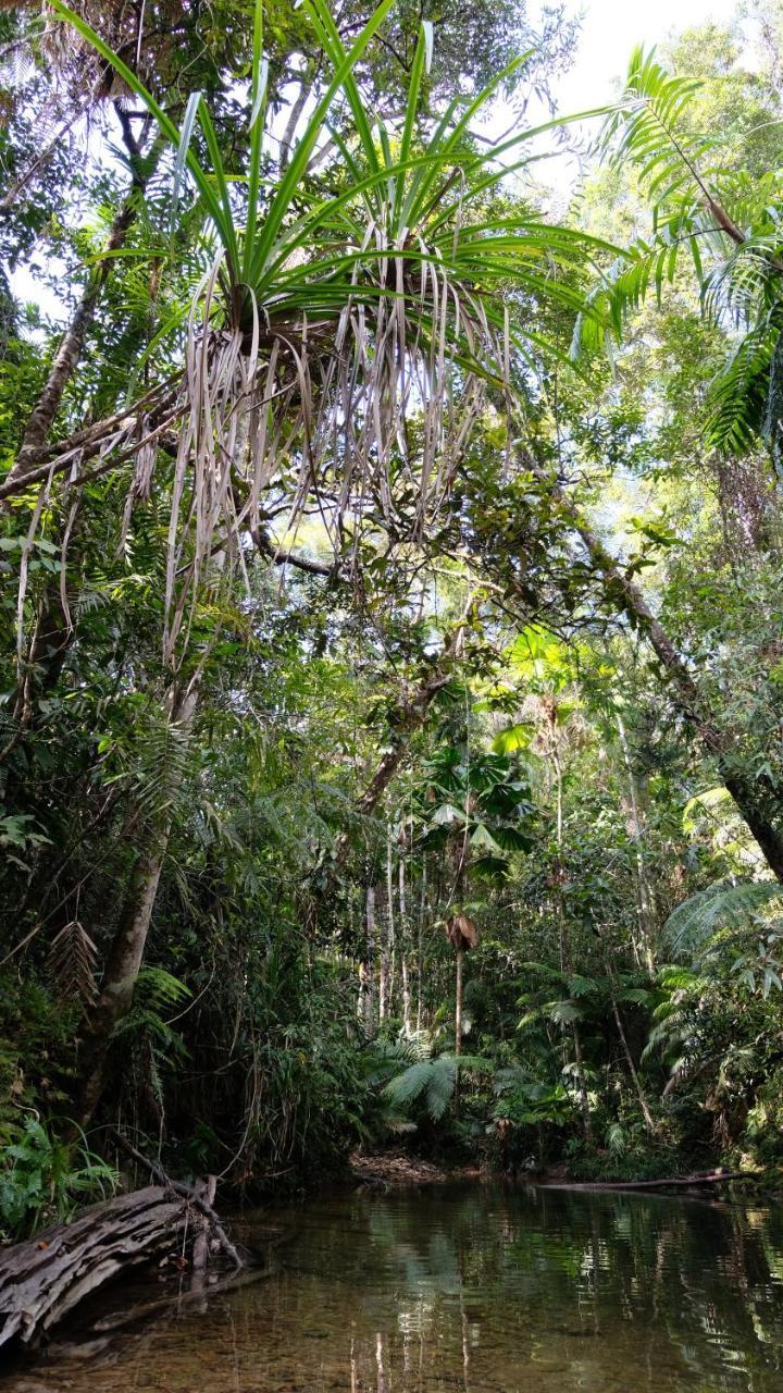 Daintree Manor B&B Dış mekan fotoğraf